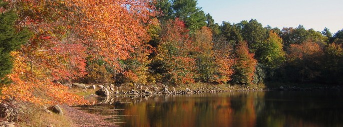 Pond_Fall_Foliage