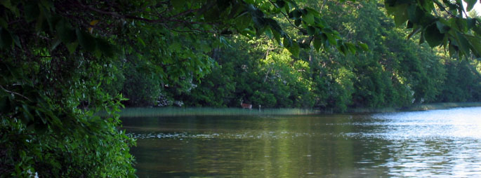 Yawgoo_Pond