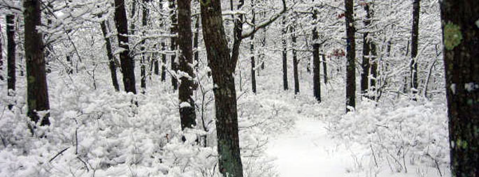 duval_trail